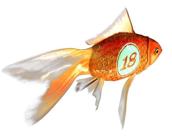 racinggoldfish18